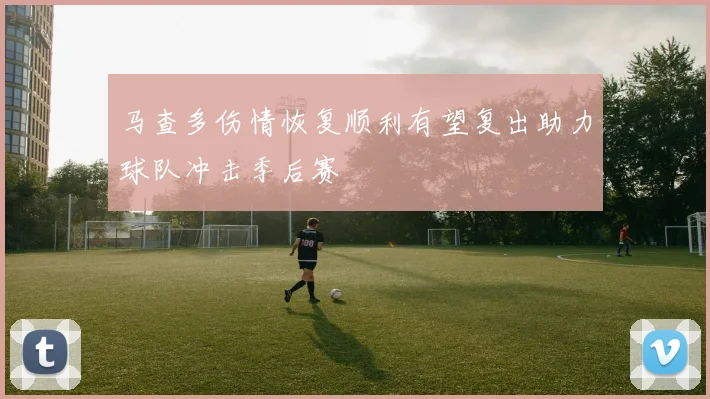 马查多伤情恢复顺利有望复出助力球队冲击季后赛