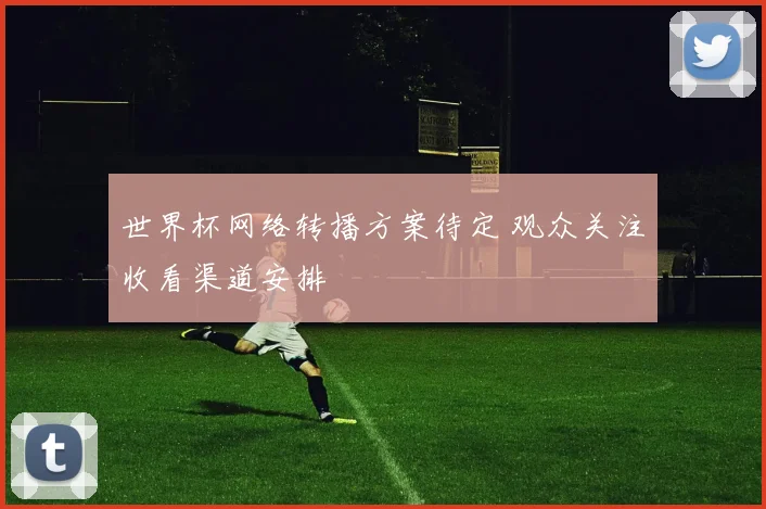 世界杯网络转播方案待定 观众关注收看渠道安排