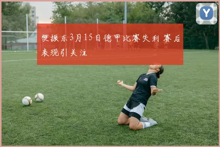 樊振东3月15日德甲比赛失利 赛后表现引关注