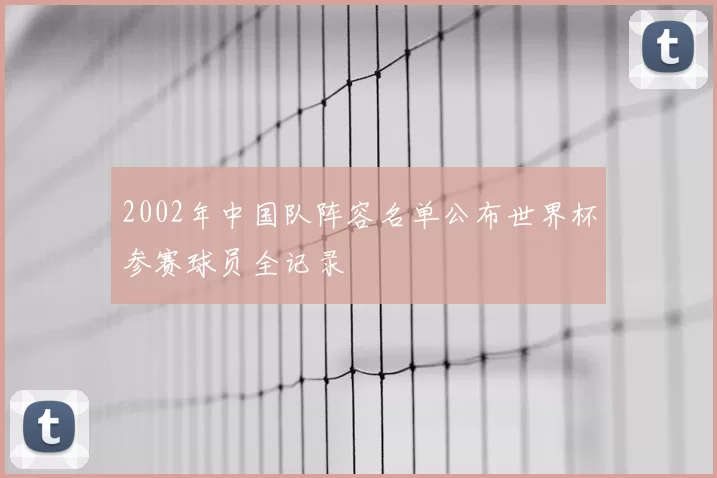 2002年中国队阵容名单公布世界杯参赛球员全记录