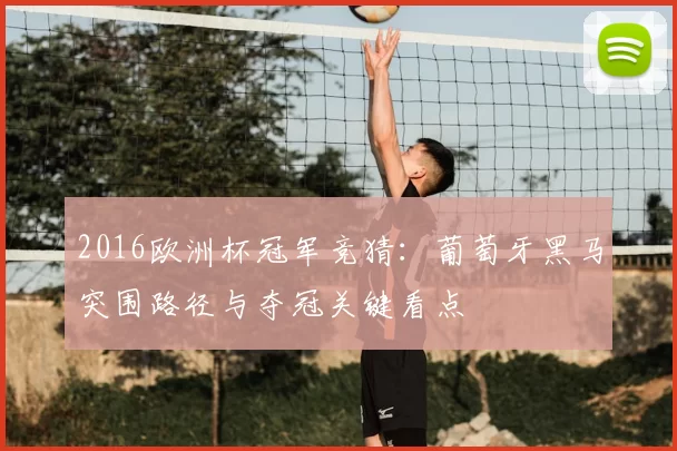 2016欧洲杯冠军竞猜：葡萄牙黑马突围路径与夺冠关键看点