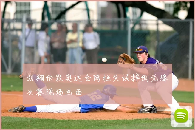 刘翔伦敦奥运会跨栏失误摔倒无缘决赛现场画面