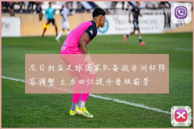 尼日利亚足球国家队备战非洲杯阵容调整 主力回归提升晋级前景