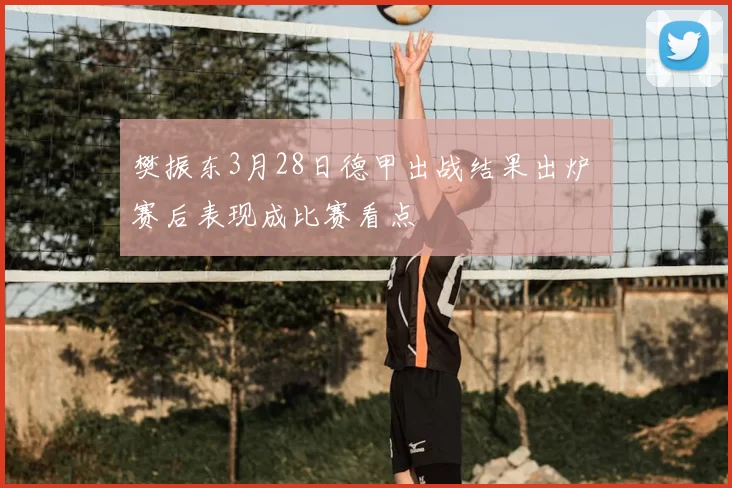 樊振东3月28日德甲出战结果出炉 赛后表现成比赛看点